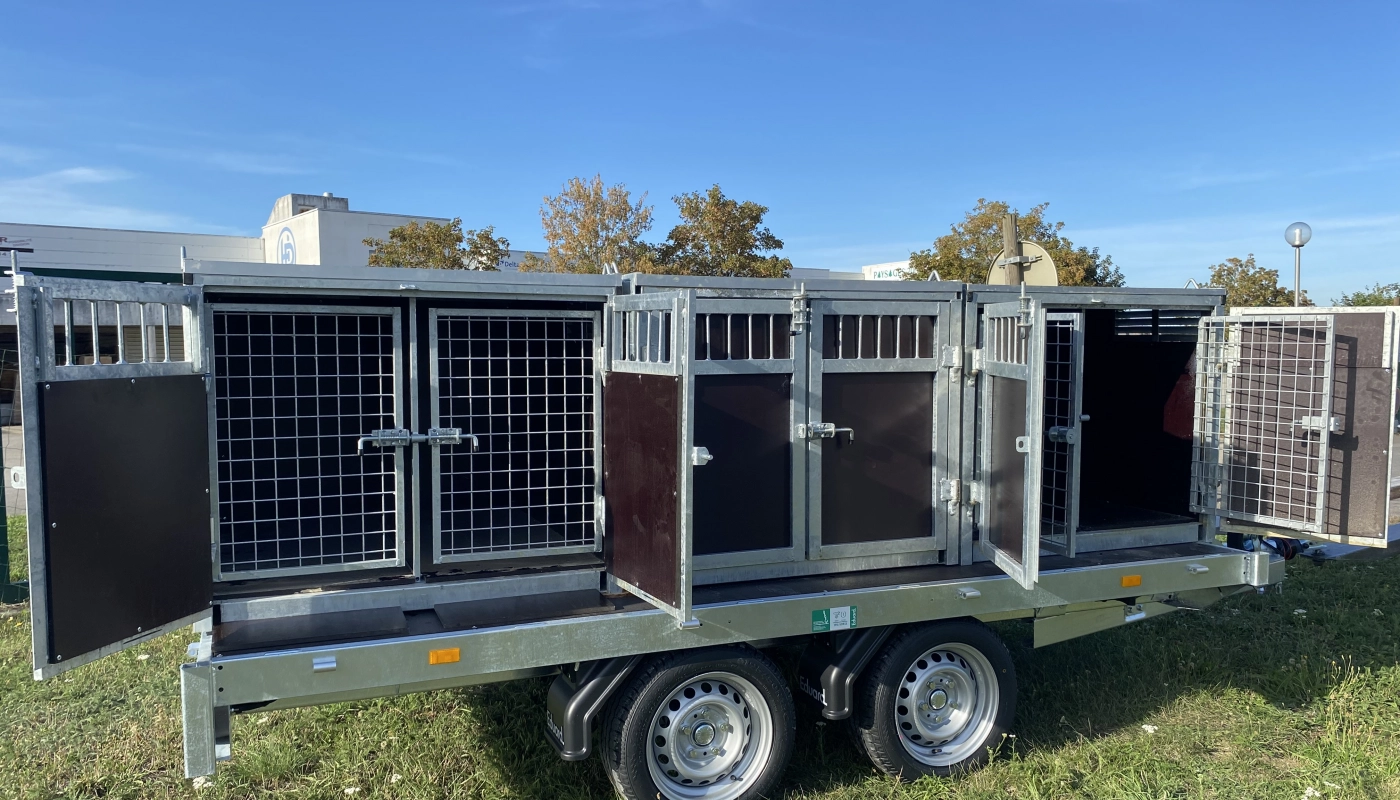 EDUARD Pritschenanhänger mit 2-Kammer-Hundebox